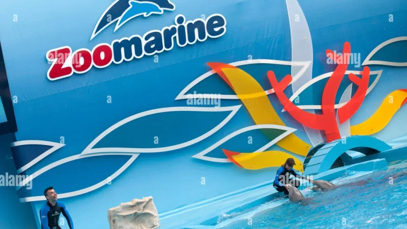 Zoomarine – photo 9
