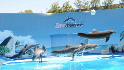 Zoomarine