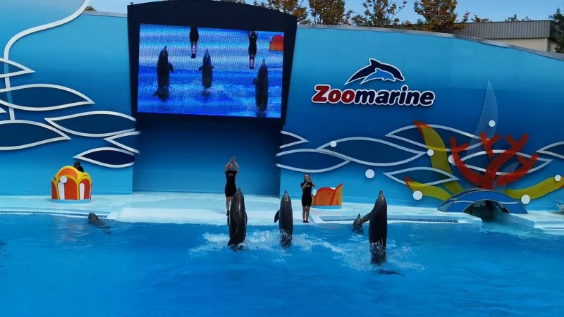 Zoomarine – photo 3