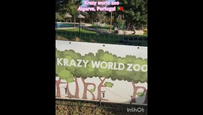 Krazy World Zoo