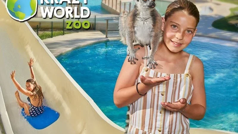 Krazy World Zoo – photo 2