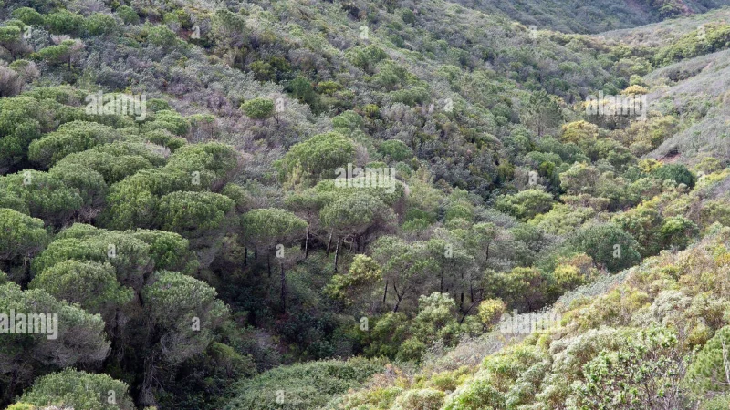 Trilho Ambiental do Castelejo – photo 8