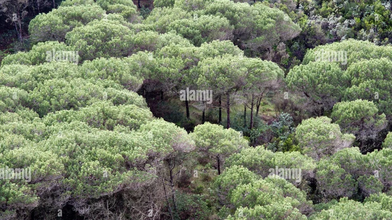Trilho Ambiental do Castelejo – photo 10