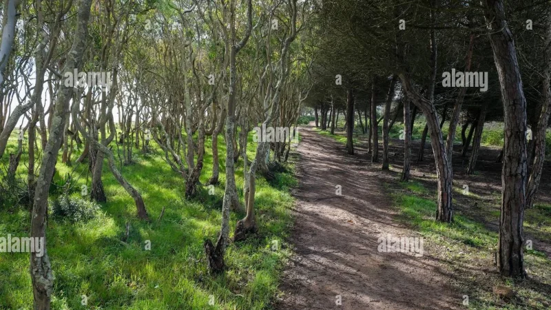 Trilho Ambiental do Castelejo