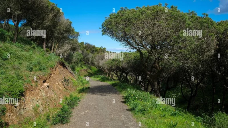 Trilho Ambiental do Castelejo – photo 2