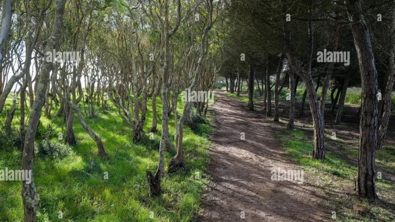Trilho Ambiental do Castelejo – photo 5