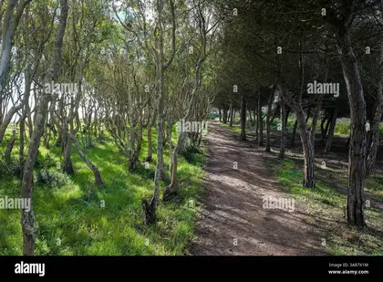 Trilho Ambiental do Castelejo
