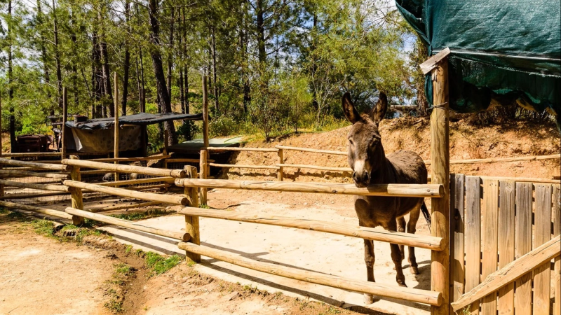 Foto da atividade Parque da Mina, Monchique