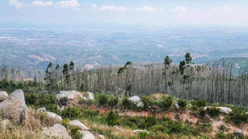 Parque da Mina, Monchique – photo 3