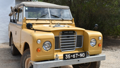 Gallery 770