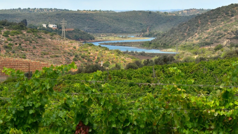 Foto da atividade Adega do Convento do Paraíso / Quinta de Mata Mouros