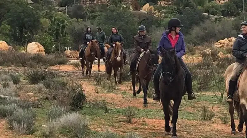 Foto da atividade Centro Hípico Quinta da Saudade