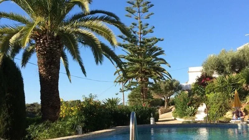 Centro Hípico Quinta da Saudade – photo 7