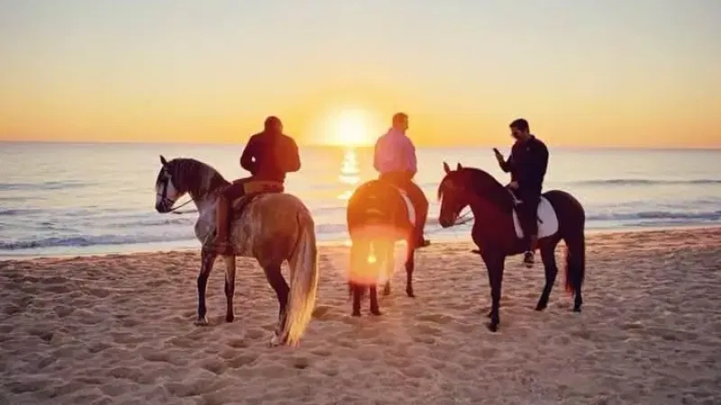 Foto da atividade Algarve Lusitano Horses