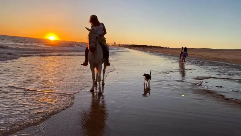 Foto da atividade Algarve Lusitano Horses