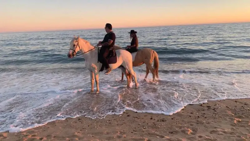 Foto da atividade Algarve Lusitano Horses
