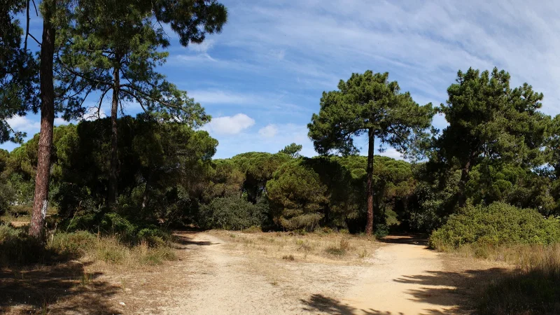 Centro de Educação Ambiental de Marim (CEAM)