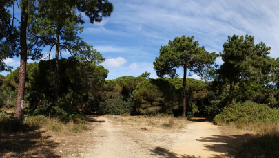 Centro de Educação Ambiental de Marim (CEAM)