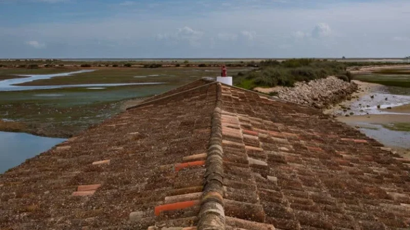Centro de Educação Ambiental de Marim (CEAM) – photo 5