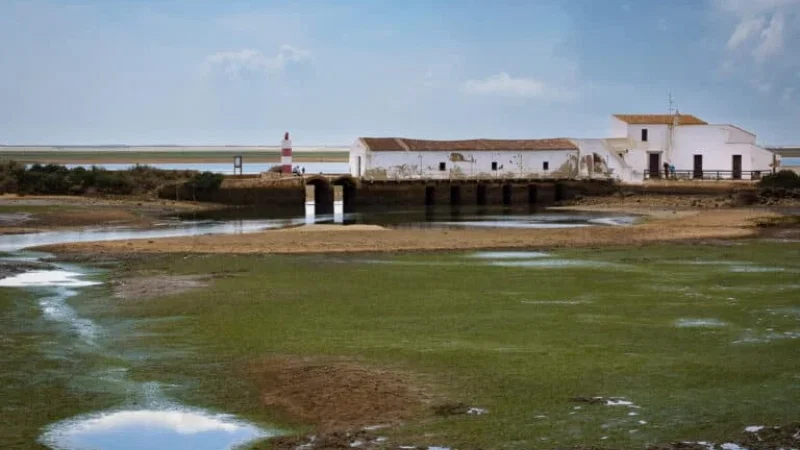 Centro de Educação Ambiental de Marim (CEAM) – photo 6
