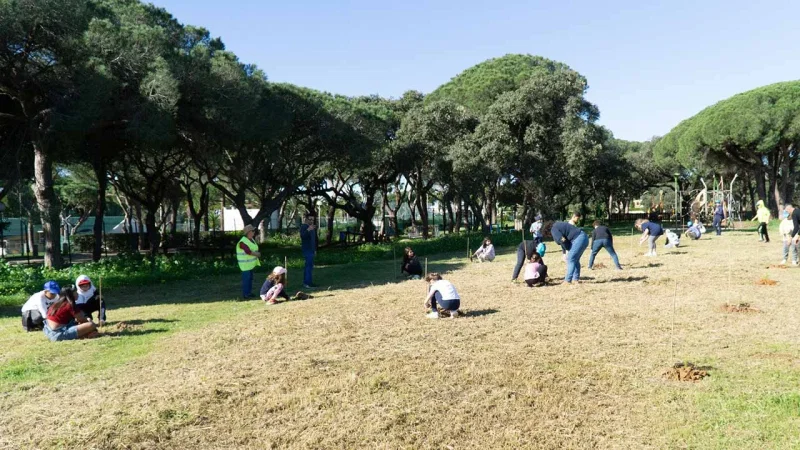 Centro de Educação Ambiental de Marim (CEAM) – photo 4