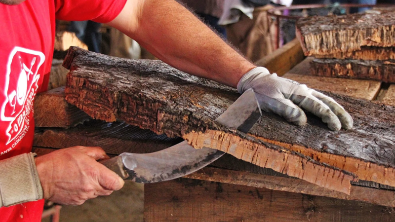 Foto da atividade Eco-Cork Factory | Eco-Fábrica de Cortiça | Francisco Carrusca