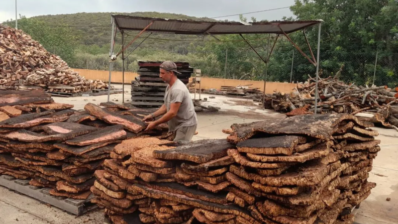 Foto da atividade Eco-Cork Factory | Eco-Fábrica de Cortiça | Francisco Carrusca
