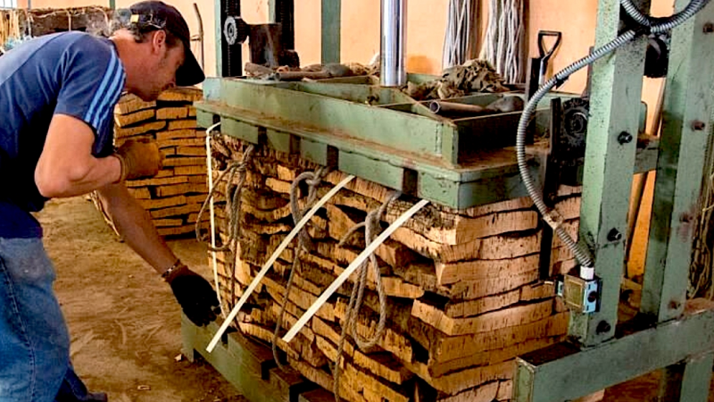 Foto da atividade Eco-Cork Factory | Eco-Fábrica de Cortiça | Francisco Carrusca