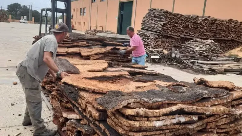 Eco-Cork Factory | Eco-Fábrica de Cortiça | Francisco Carrusca – photo 2