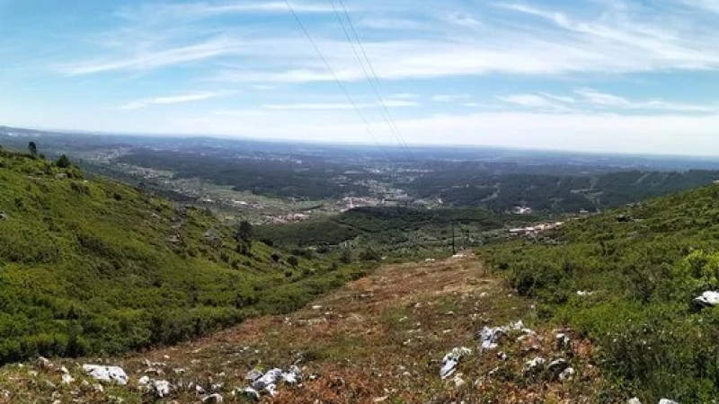 Foto da atividade Parque Natural das Serras de Aire e Candeeiros