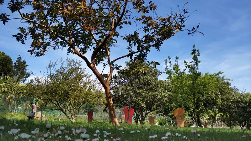 Foto da atividade Quinta Pedagógica dos Olivais