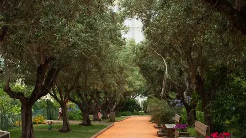 Foto da atividade Quinta Pedagógica dos Olivais