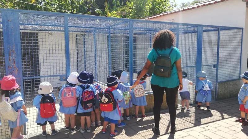 Quinta Pedagógica dos Olivais – photo 2