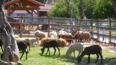 Quinta Pedagógica dos Olivais
