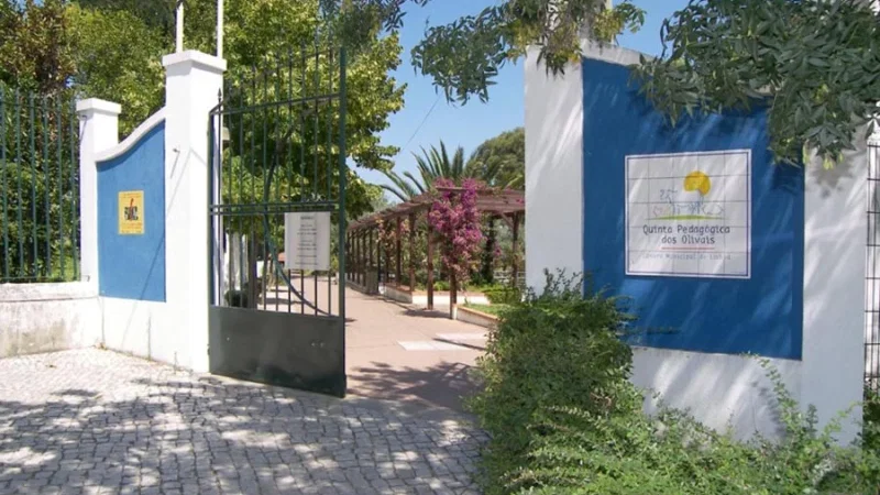 Quinta Pedagógica dos Olivais – photo 6