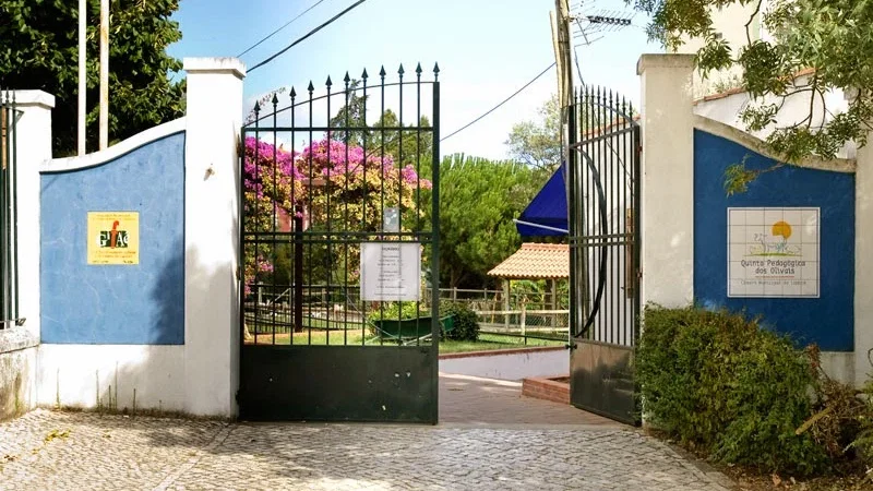 Quinta Pedagógica dos Olivais – photo 7