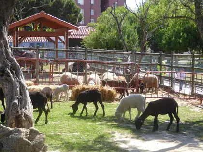 Quinta Pedagógica dos Olivais