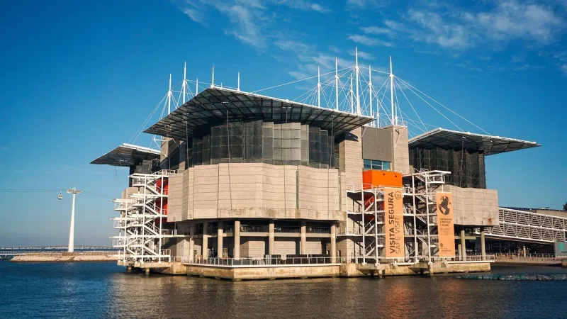 Foto da atividade Oceanário de Lisboa
