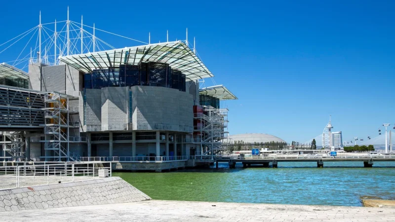 Oceanário de Lisboa – photo 8