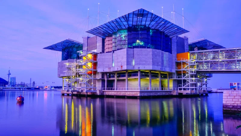Oceanário de Lisboa – photo 9