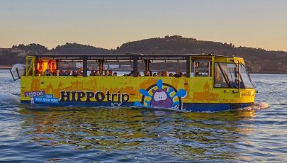 Hippotrip