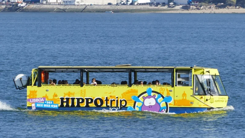 Hippotrip
