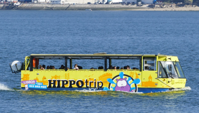 Hippotrip