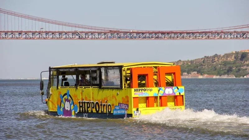 Hippotrip – photo 7