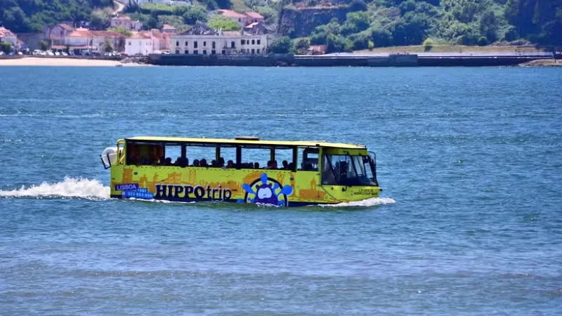 Hippotrip – photo 9