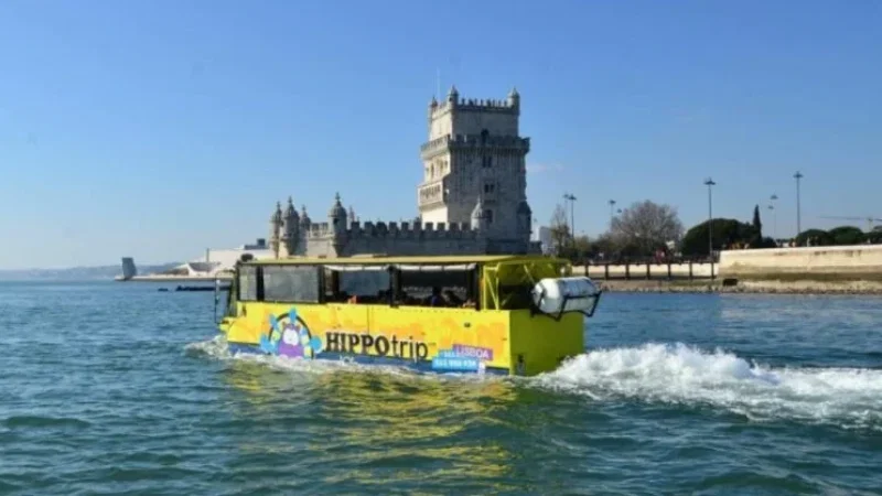 Hippotrip – photo 10