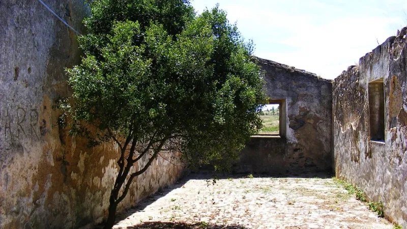 Foto da atividade Quinta do Pisão