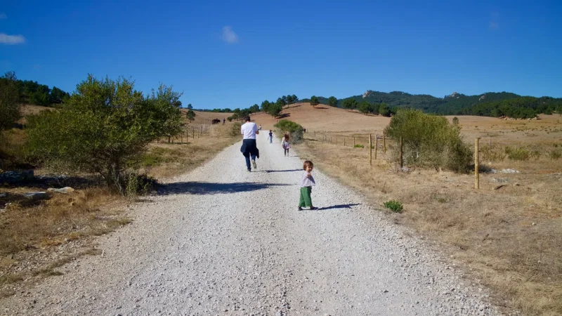 Quinta do Pisão – photo 6