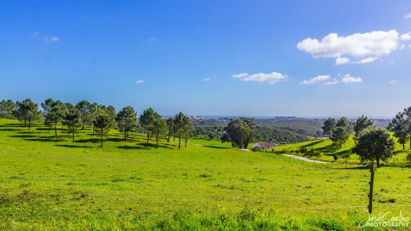 Quinta do Pisão – photo 8