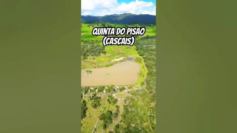 Quinta do Pisão – photo 9